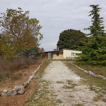 Chalet Di Montagna