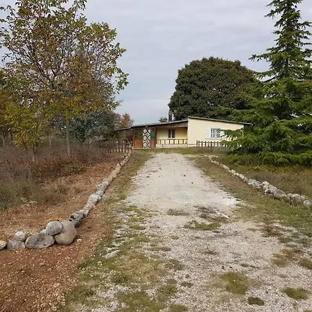 Di Montagna * Trasacco