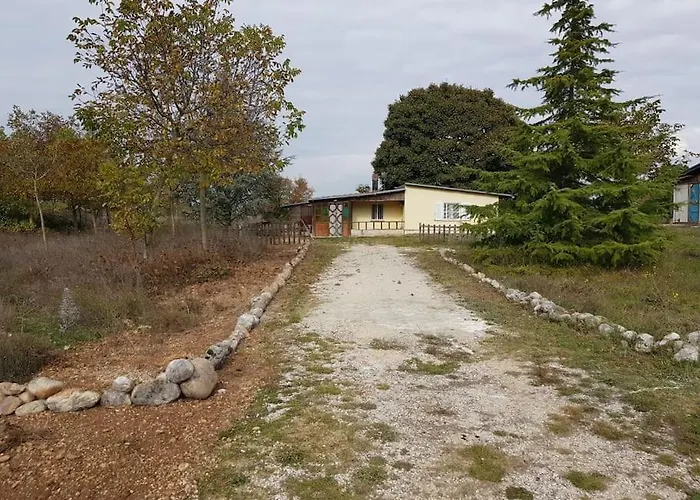 Di Montagna * Trasacco